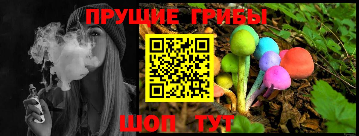 Псилоцибиновые грибы Cubensis Строитель