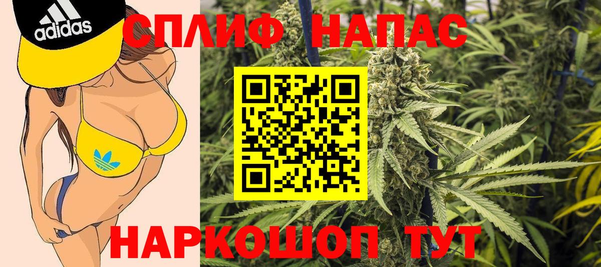 Бошки Шишки планчик Строитель